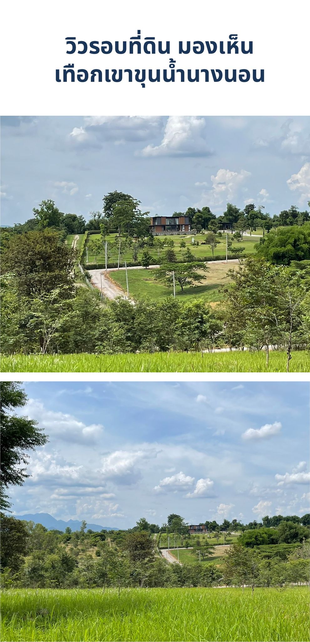 ที่ดิน 9 ไร่ อ.แม่จัน จ.เชียงราย 