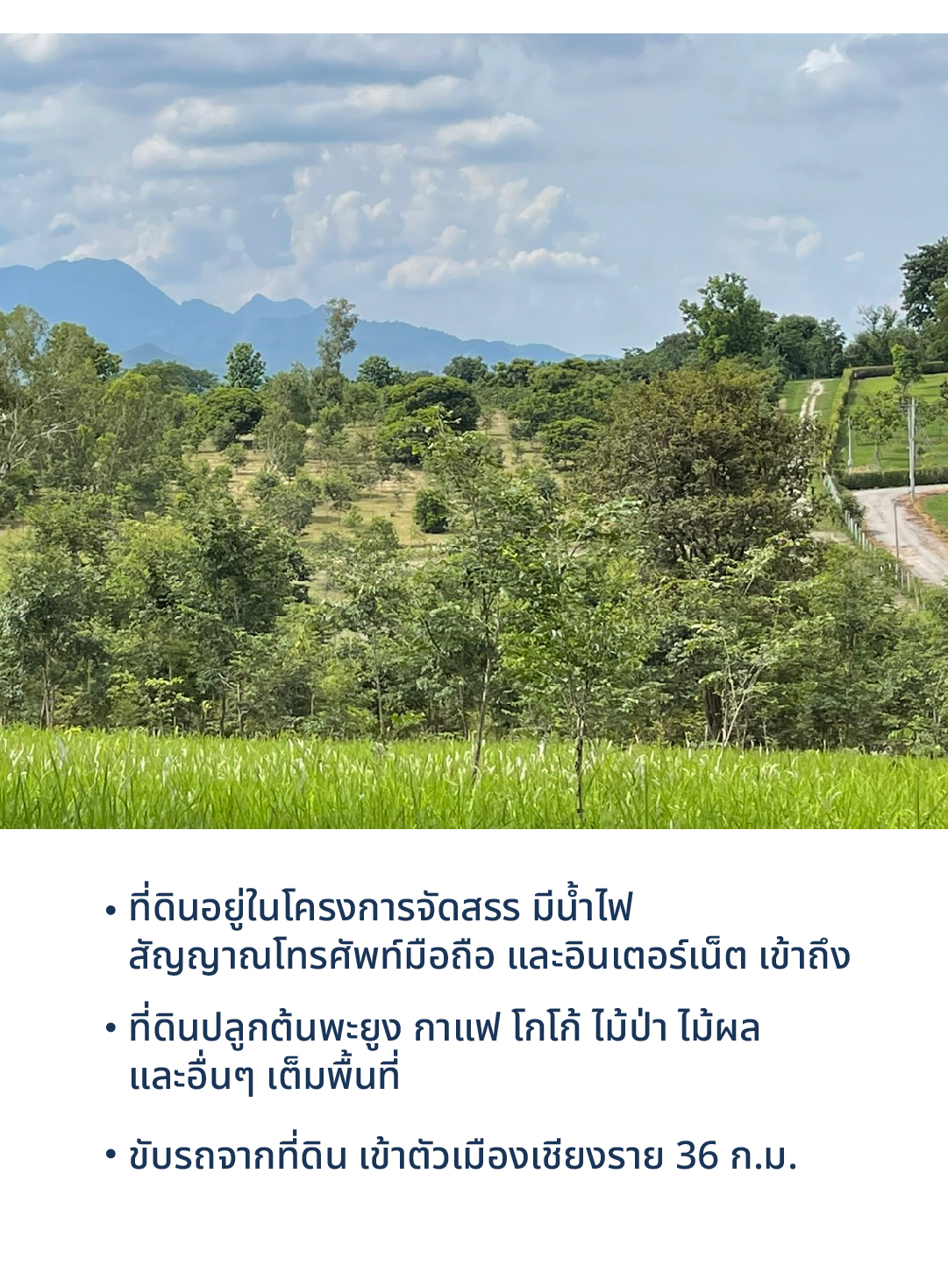 ที่ดิน 9 ไร่ อ.แม่จัน จ.เชียงราย 