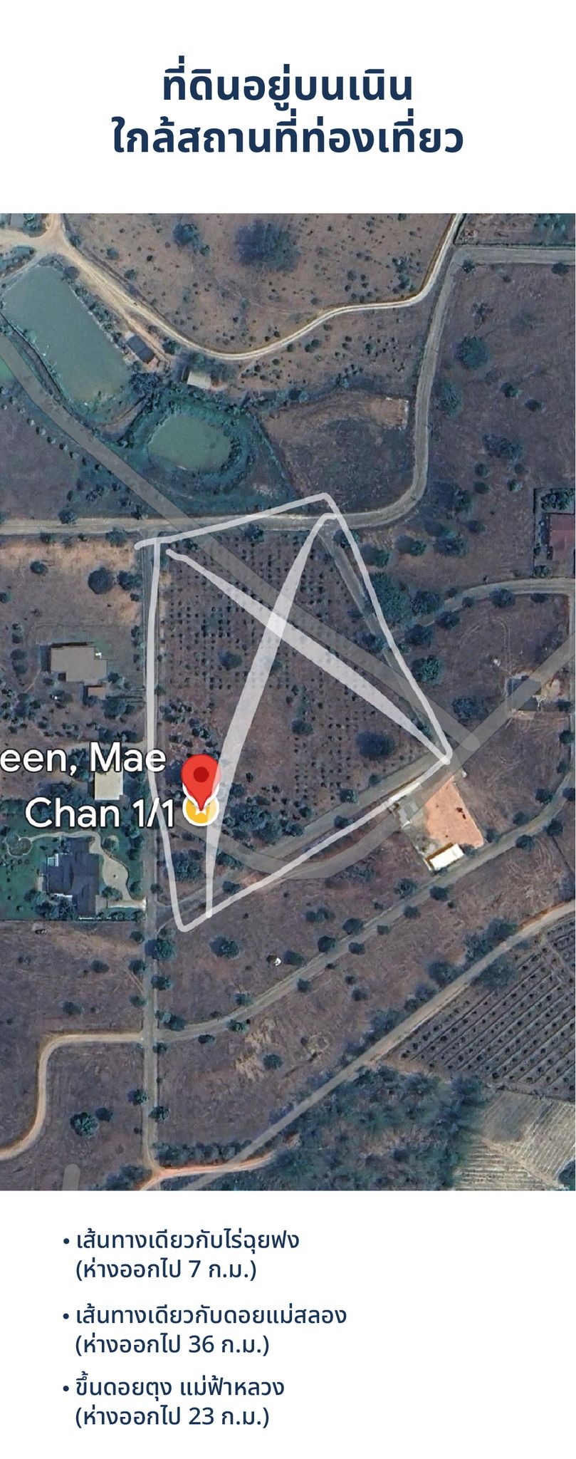 ที่ดิน 9 ไร่ อ.แม่จัน จ.เชียงราย 