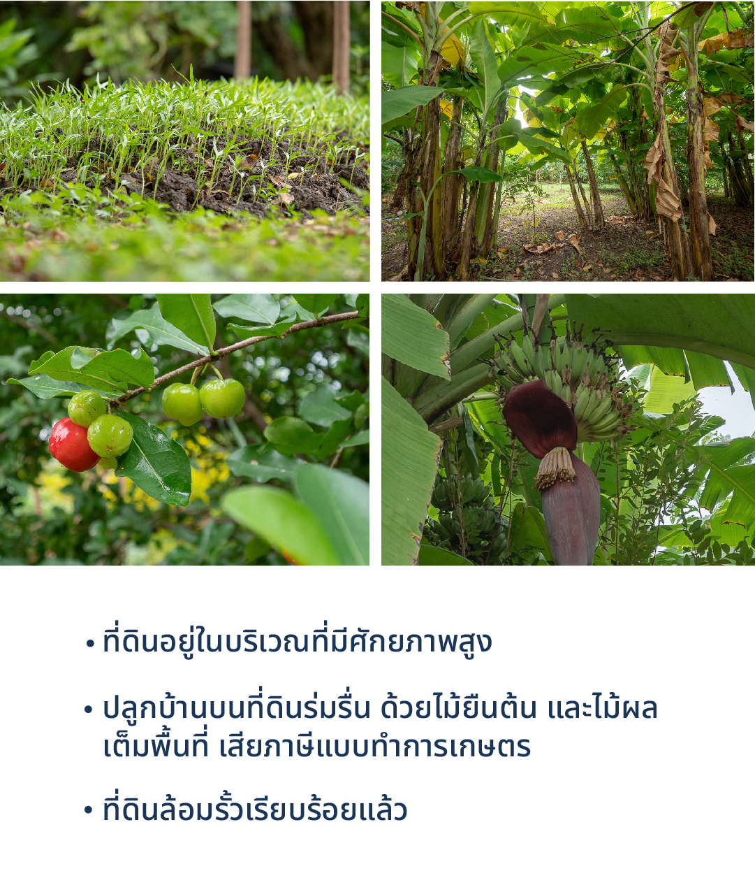 ขายที่ดินกรุงเทพกรีฑา ขายที่ดิน กรุงเทพกรีฑา
ขายที่ดินเปล่า กรุงเทพกรีฑา
ที่ดิน กรุงเทพกรีฑา ราคาถูก
ที่ดิน กรุงเทพกรีฑา เจ้าของขายเอง