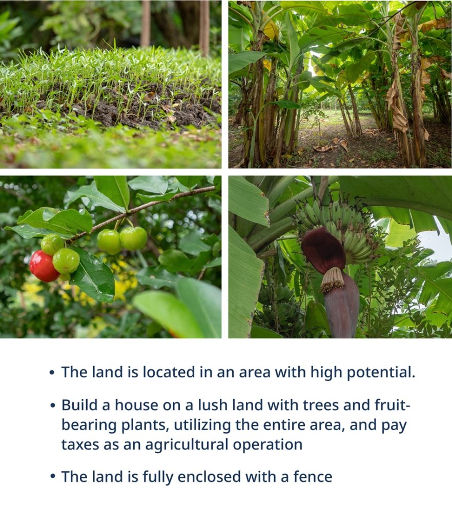 Lands for Sale in Ramkhamhaeng / Bangkapi / Krungthepkreetha